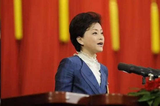 从两会服饰看时尚变迁15