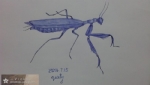 螳螂-Vicky莹莹的绘画作品